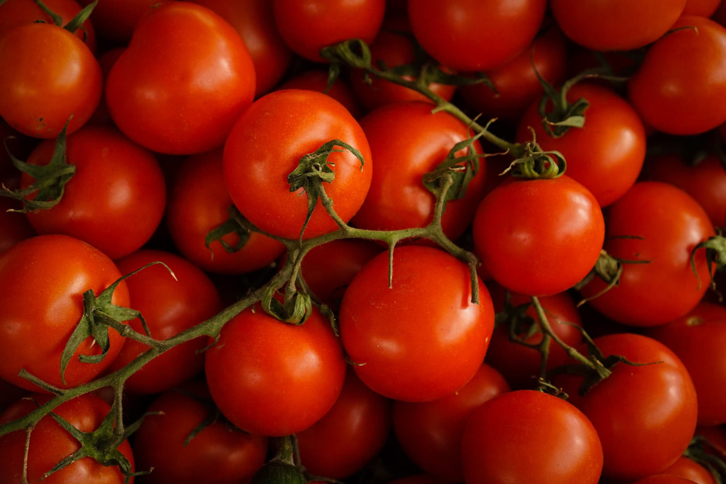 Teil 4: Tomatensoße wie in Italien